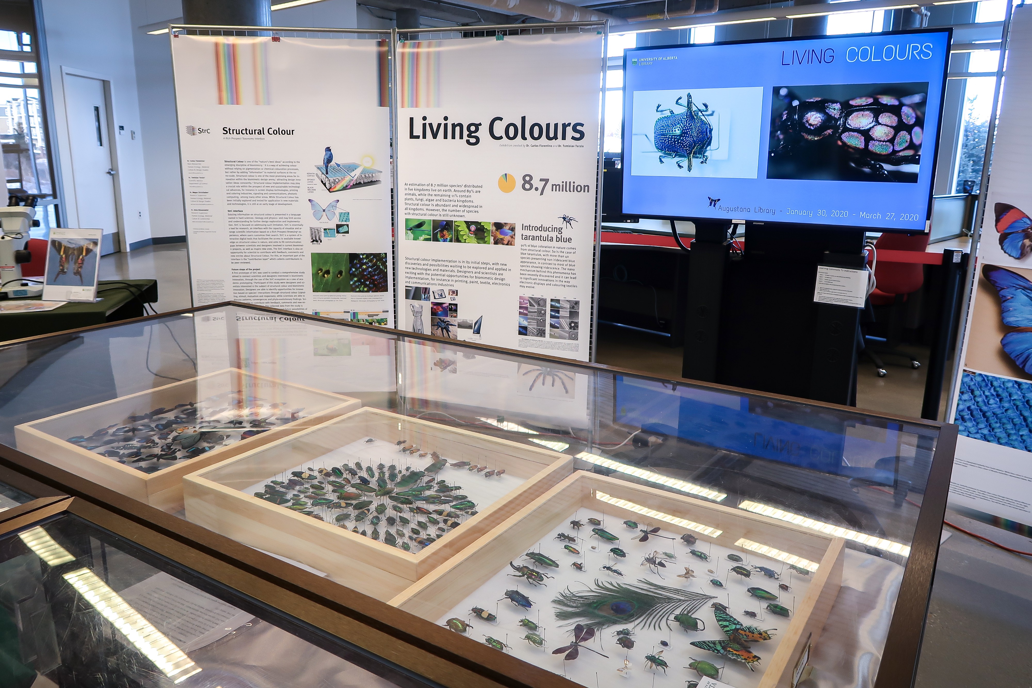 Augustana Library's Living Colours Exhibition